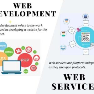 1 Website Development Plan