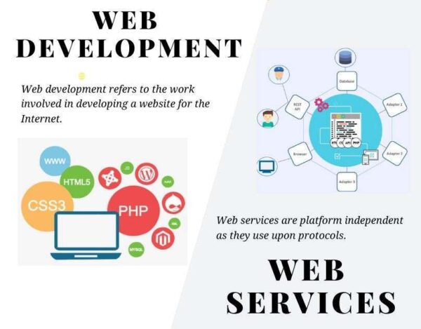 1 Website Development Plan